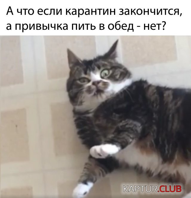 1588150031_podb_27.jpg | Рено Каптур Клуб Россия | Форум KAPTUR.SU