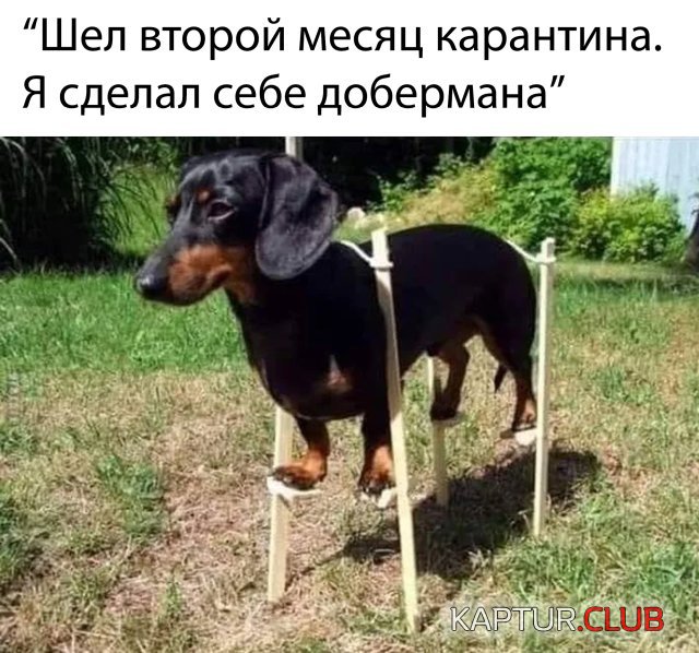 1588258056_podb_vecher_14.jpg | Рено Каптур Клуб Россия | Форум KAPTUR.SU