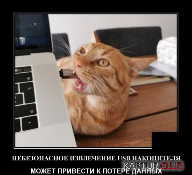 1588325080_1588166444_demotivatory_13.jpg | Рено Каптур Клуб Россия | Форум KAPTUR.SU