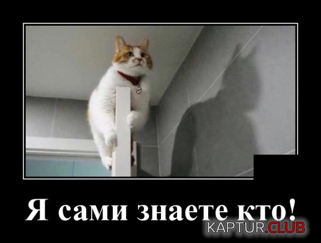 1588340983_demotivatory_02.jpg | Рено Каптур Клуб Россия | Форум KAPTUR.SU