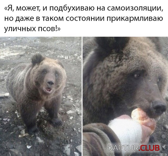 1588345144_podb_vecher_02.jpg | Рено Каптур Клуб Россия | Форум KAPTUR.SU