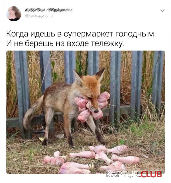 1588355080_192930_7_trinixy_ru.jpg | Рено Каптур Клуб Россия | Форум KAPTUR.SU