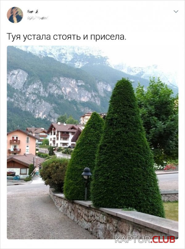 1588355155_192930_11_trinixy_ru.jpg | Рено Каптур Клуб Россия | Форум KAPTUR.SU