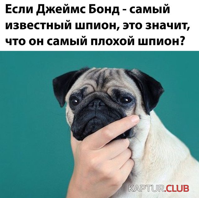 1588688588_podb_vecher_14.jpg | Рено Каптур Клуб Россия | Форум KAPTUR.SU