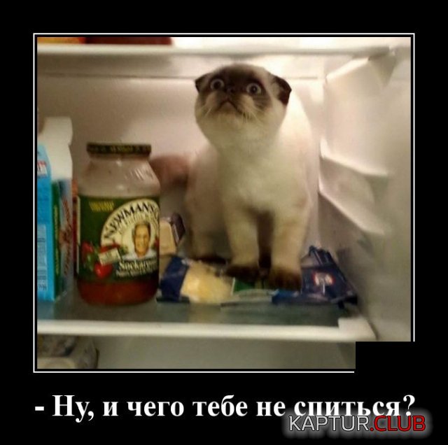 1588859103_demotivatory_07.jpg | Рено Каптур Клуб Россия | Форум KAPTUR.SU