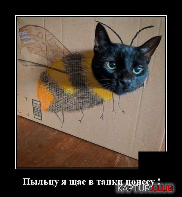1588859154_demotivatory_15.jpg | Рено Каптур Клуб Россия | Форум KAPTUR.SU