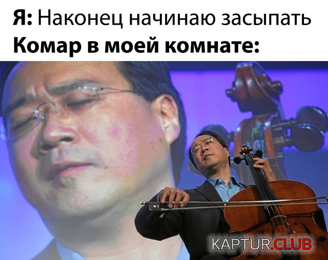 1588933674_1588778062_podb_vecher_09.jpg | Рено Каптур Клуб Россия | Форум KAPTUR.SU