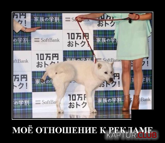 1588947249_1588682810_demotivatory_16.jpg | Рено Каптур Клуб Россия | Форум KAPTUR.SU