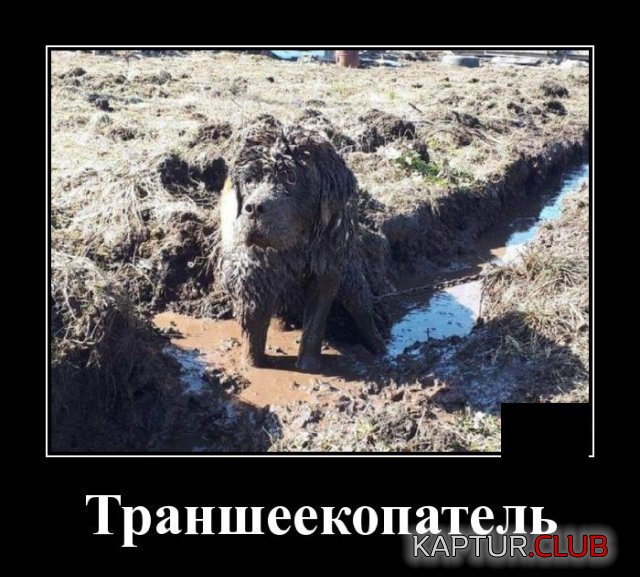 1588947274_1588682807_demotivatory_14.jpg | Рено Каптур Клуб Россия | Форум KAPTUR.SU