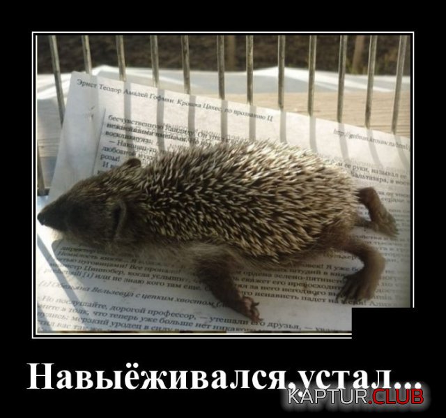 1589207057_demotivatory_08.jpg | Рено Каптур Клуб Россия | Форум KAPTUR.SU