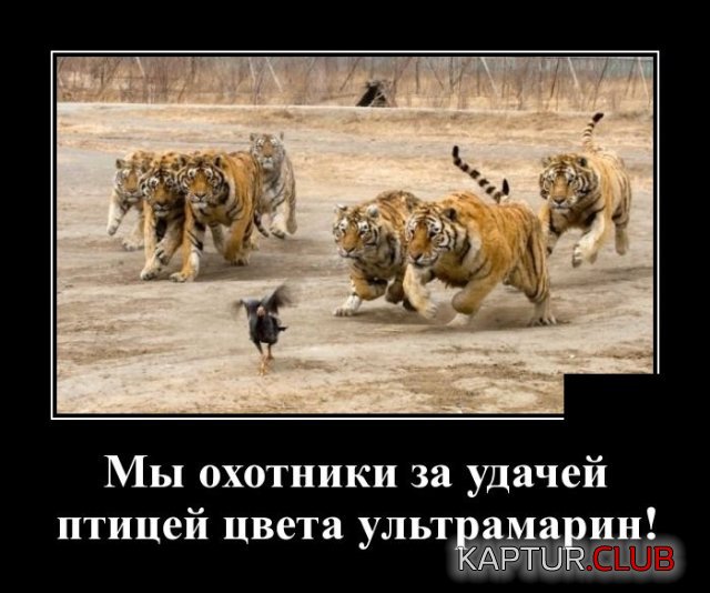 1589285429_demotivatory_20.jpg | Рено Каптур Клуб Россия | Форум KAPTUR.SU