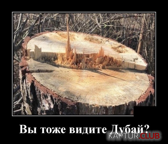1589379626_demotivatory_11.jpg | Рено Каптур Клуб Россия | Форум KAPTUR.SU