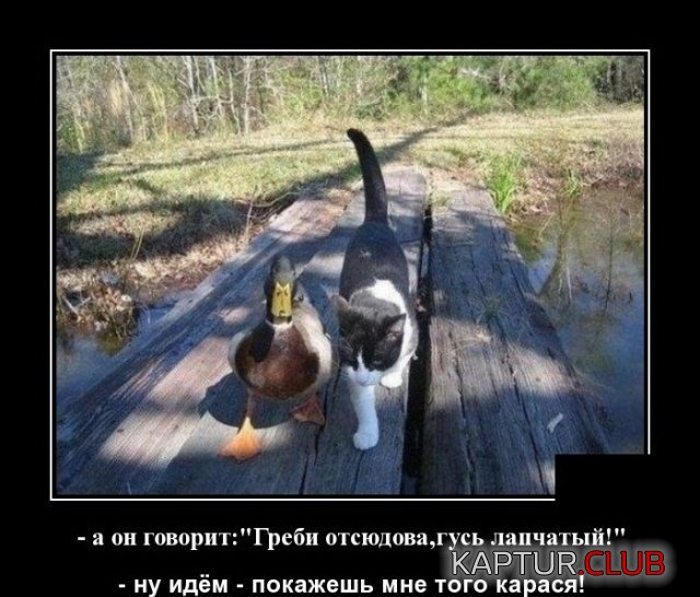 1589554526_demotivatory_17.jpg | Рено Каптур Клуб Россия | Форум KAPTUR.SU