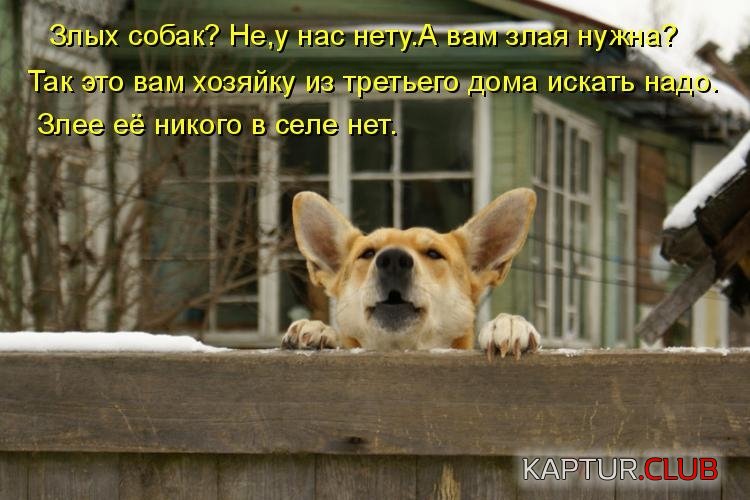15895ce8fcbc11268c509ab83cc.jpg | Рено Каптур Клуб Россия | Форум KAPTUR.SU