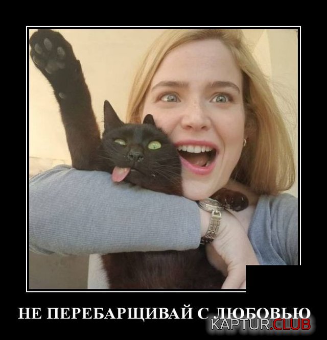 1589814602_demotivatory_06.jpg | Рено Каптур Клуб Россия | Форум KAPTUR.SU