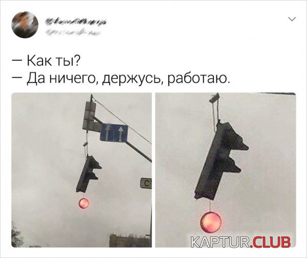 1590045016_194283_9_trinixy_ru.jpg | Рено Каптур Клуб Россия | Форум KAPTUR.SU