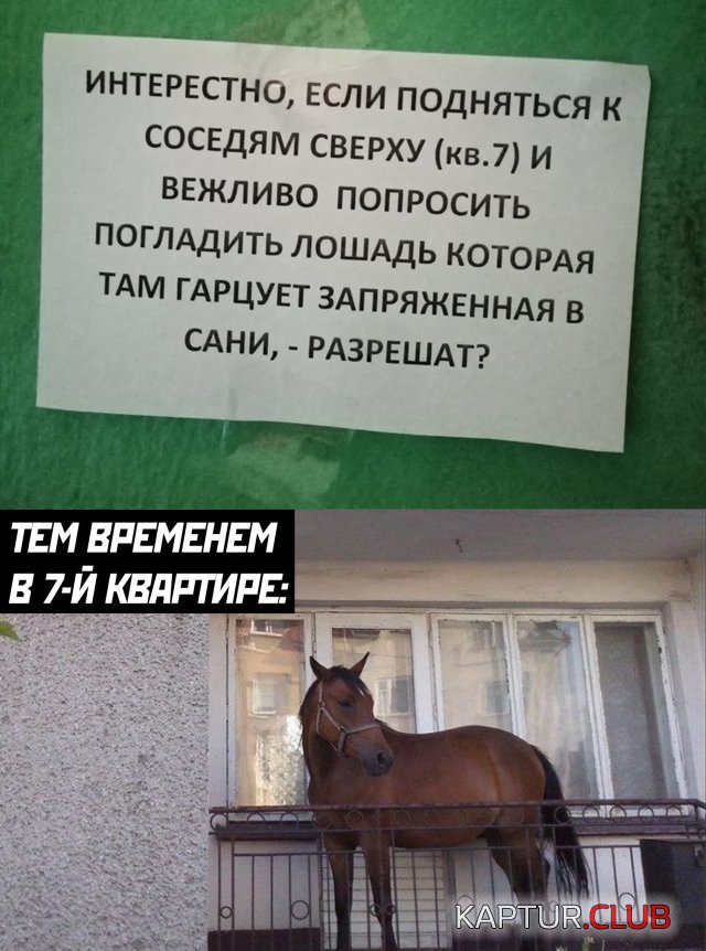 1590396105_podb_04.jpg | Рено Каптур Клуб Россия | Форум KAPTUR.SU