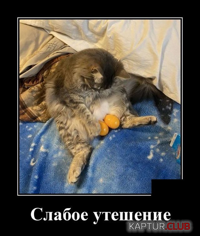 1590408199_demotivatory_07.jpg | Рено Каптур Клуб Россия | Форум KAPTUR.SU