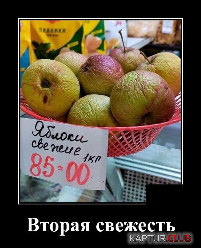 1590488544_demotivatory_06.jpg | Рено Каптур Клуб Россия | Форум KAPTUR.SU