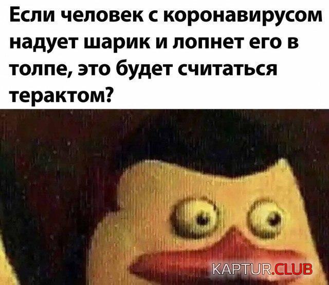 1590569202_194595_7_trinixy_ru.jpg | Рено Каптур Клуб Россия | Форум KAPTUR.SU