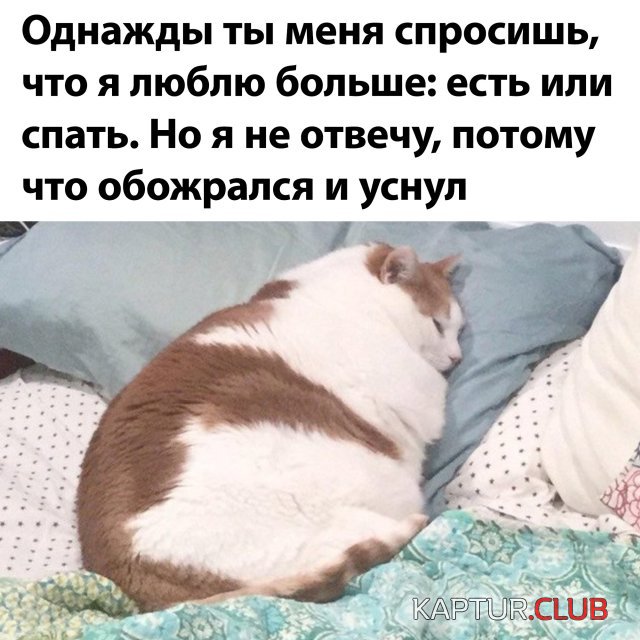 1590570113_1590416496_podb_vecher_03.jpg | Рено Каптур Клуб Россия | Форум KAPTUR.SU