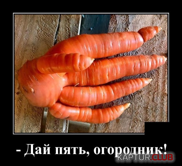 1590583476_demotivatory_13.jpg | Рено Каптур Клуб Россия | Форум KAPTUR.SU