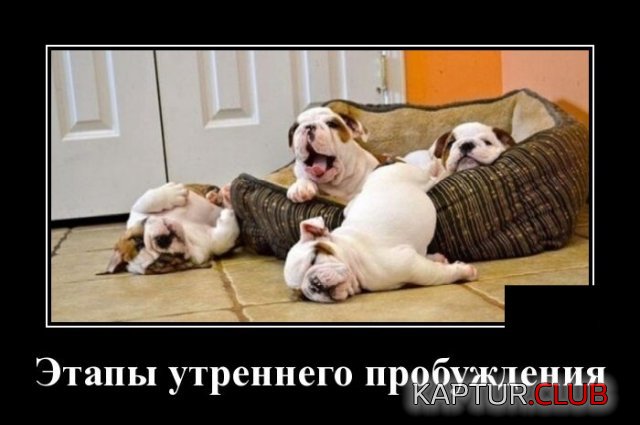1590587155_1590157543_demotivatory_02.jpg | Рено Каптур Клуб Россия | Форум KAPTUR.SU