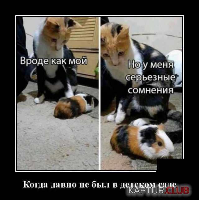 1590587208_1590157465_demotivatory_12.jpg | Рено Каптур Клуб Россия | Форум KAPTUR.SU