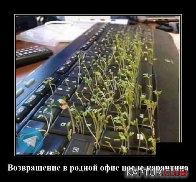 1590587208_1590157560_demotivatory_14.jpg | Рено Каптур Клуб Россия | Форум KAPTUR.SU