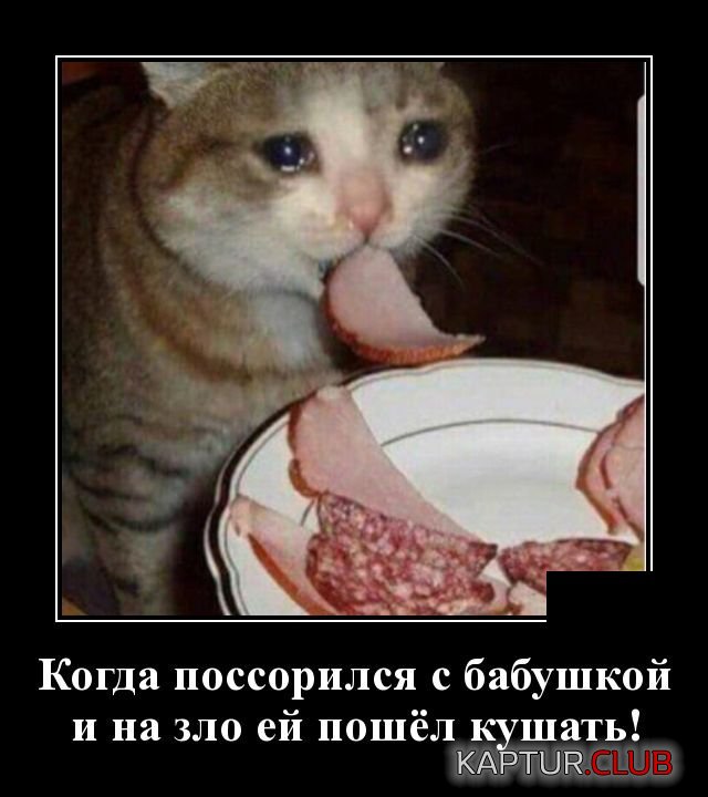 1590587217_1590157499_demotivatory_08.jpg | Рено Каптур Клуб Россия | Форум KAPTUR.SU