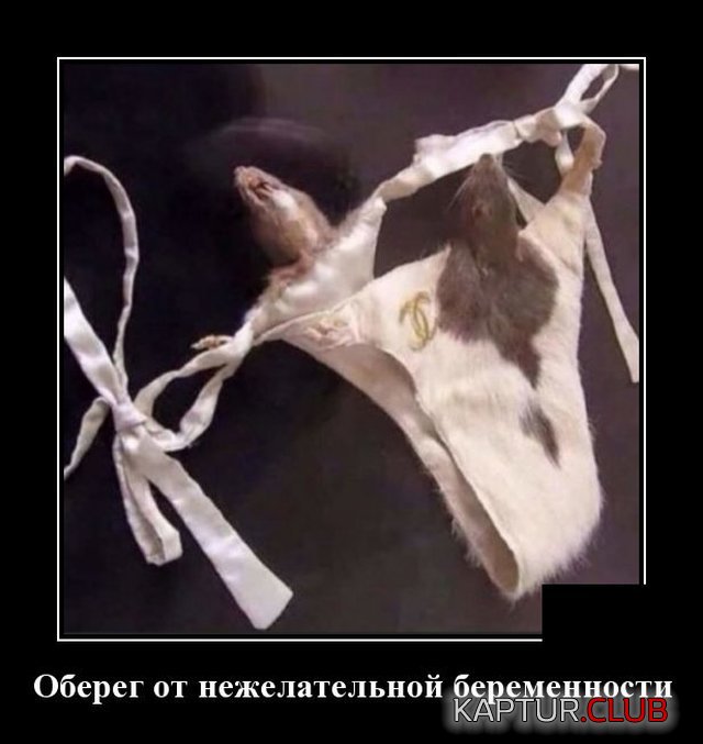 1590758399_demotivatory_01.jpg | Рено Каптур Клуб Россия | Форум KAPTUR.SU