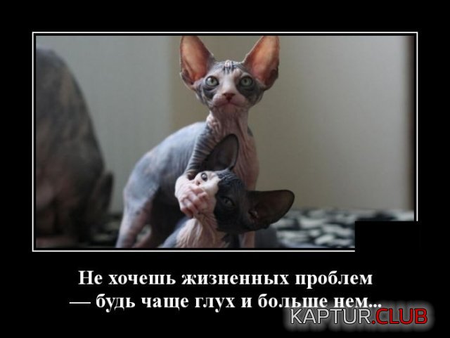1590758436_demotivatory_06.jpg | Рено Каптур Клуб Россия | Форум KAPTUR.SU