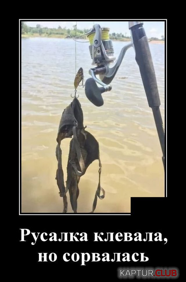 1590763114_1590488552_demotivatory_07.jpg | Рено Каптур Клуб Россия | Форум KAPTUR.SU