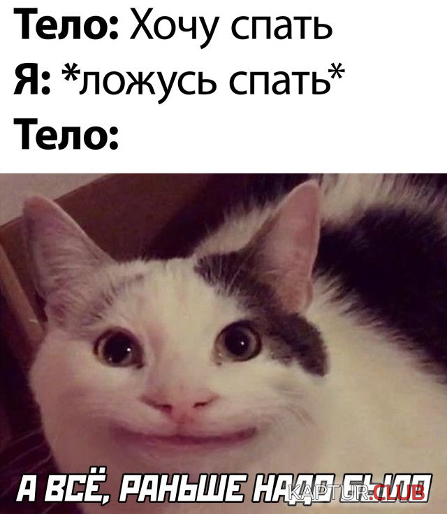 1591002974_podb_01.jpg | Рено Каптур Клуб Россия | Форум KAPTUR.SU