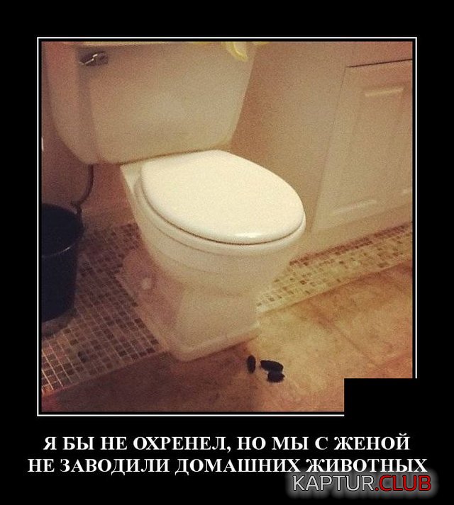 1591022841_demotivatory_19.jpg | Рено Каптур Клуб Россия | Форум KAPTUR.SU