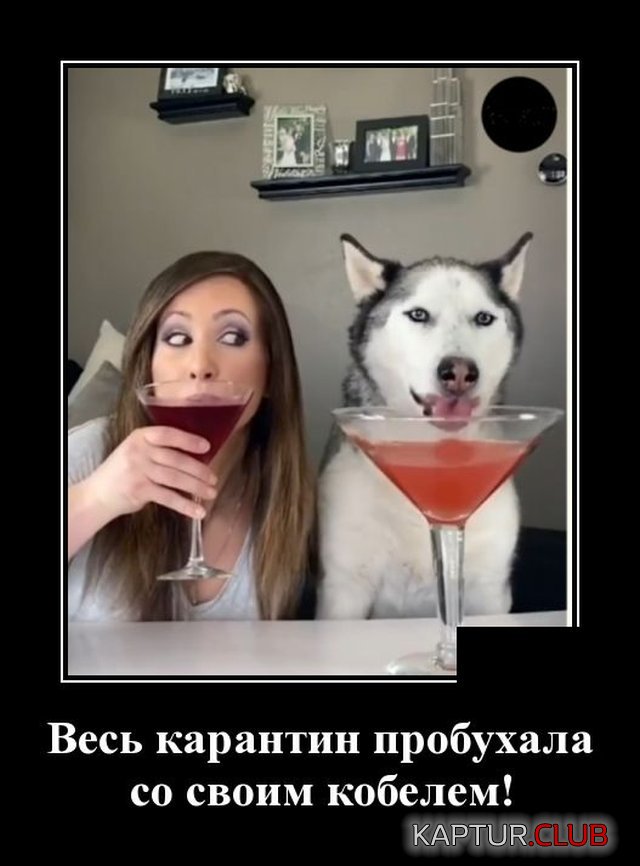 1591022844_demotivatory_04.jpg | Рено Каптур Клуб Россия | Форум KAPTUR.SU