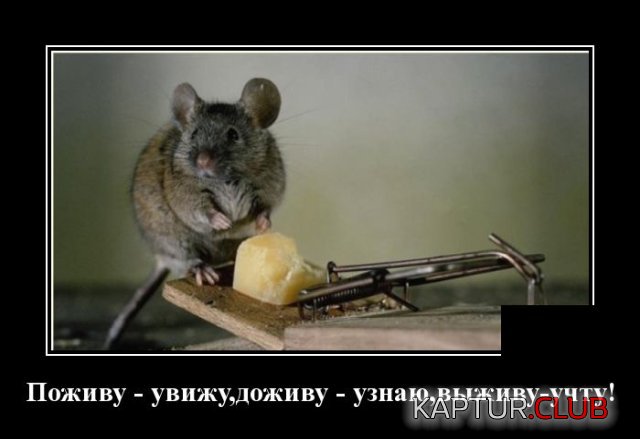 1591022854_demotivatory_05.jpg | Рено Каптур Клуб Россия | Форум KAPTUR.SU