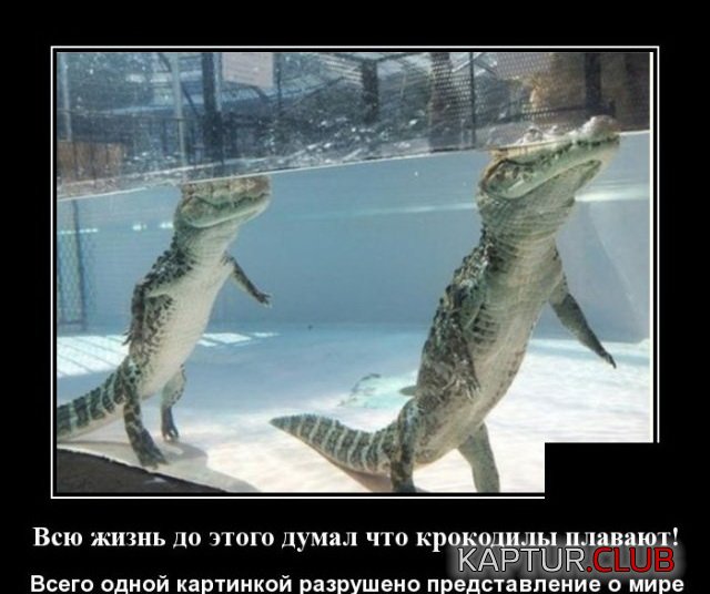 1591022879_demotivatory_07.jpg | Рено Каптур Клуб Россия | Форум KAPTUR.SU