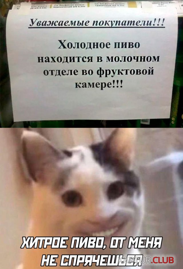 1591025837_podb_vecher_04.jpg | Рено Каптур Клуб Россия | Форум KAPTUR.SU