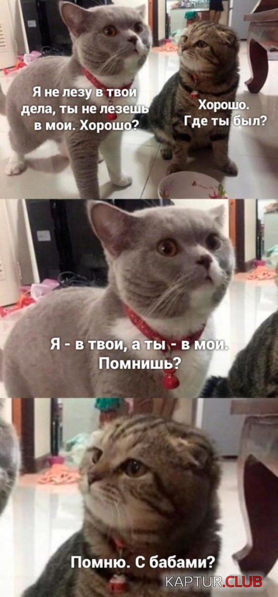 1591025866_podb_vecher_01.jpg | Рено Каптур Клуб Россия | Форум KAPTUR.SU