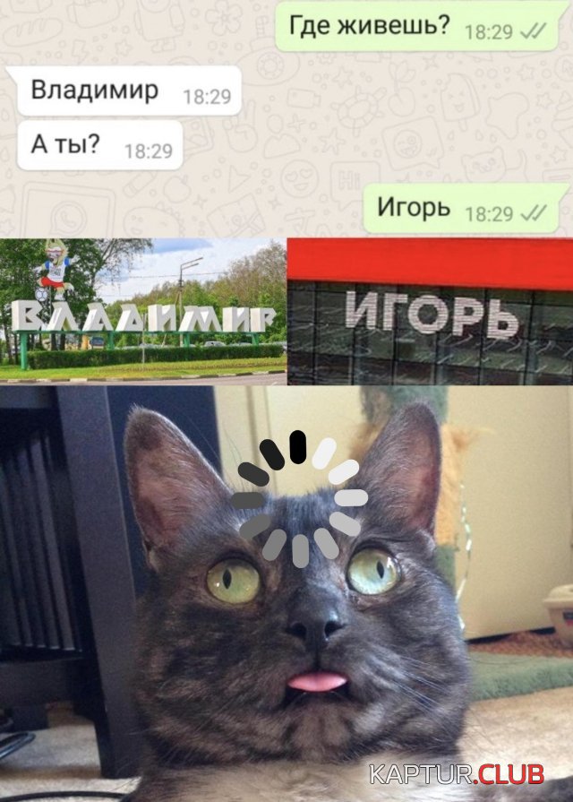 1591025880_podb_vecher_06.jpg | Рено Каптур Клуб Россия | Форум KAPTUR.SU