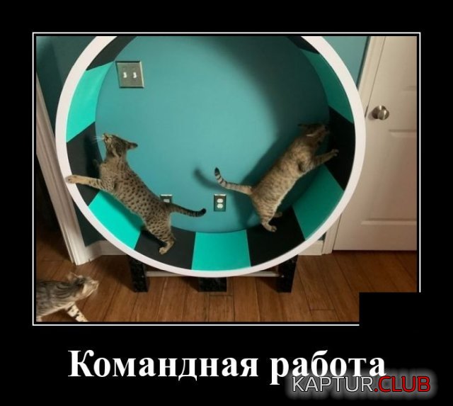1591192228_demotivatory_08.jpg | Рено Каптур Клуб Россия | Форум KAPTUR.SU