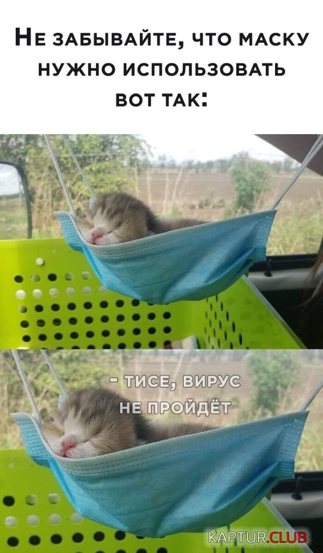 1591198007_podb_vecher_16.jpg | Рено Каптур Клуб Россия | Форум KAPTUR.SU