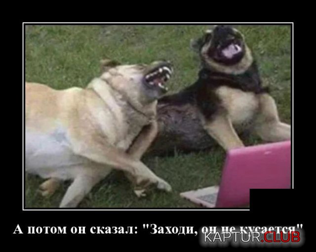 1591270401_demotivatory_03.jpg | Рено Каптур Клуб Россия | Форум KAPTUR.SU
