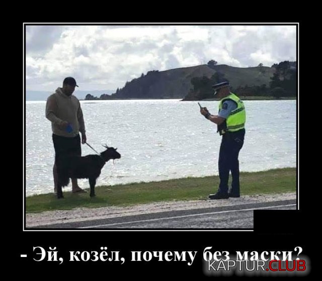 1591270450_demotivatory_02.jpg | Рено Каптур Клуб Россия | Форум KAPTUR.SU