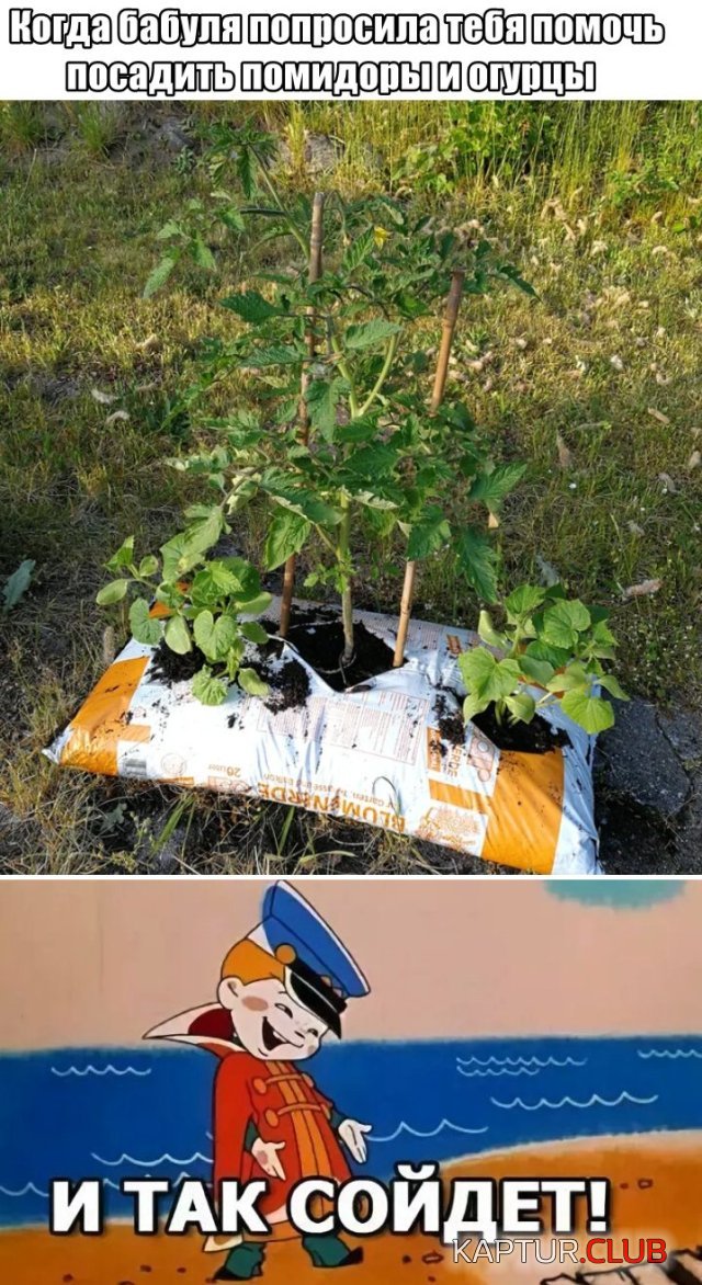 1591280635_podb_30.jpg | Рено Каптур Клуб Россия | Форум KAPTUR.SU
