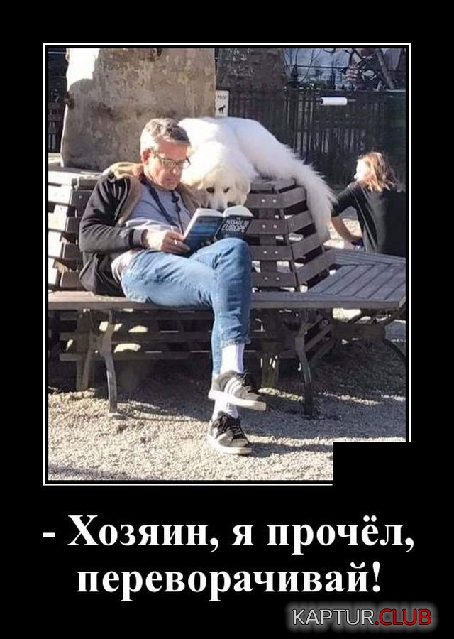 1591353206_1591105450_demotivatory_18.jpg | Рено Каптур Клуб Россия | Форум KAPTUR.SU