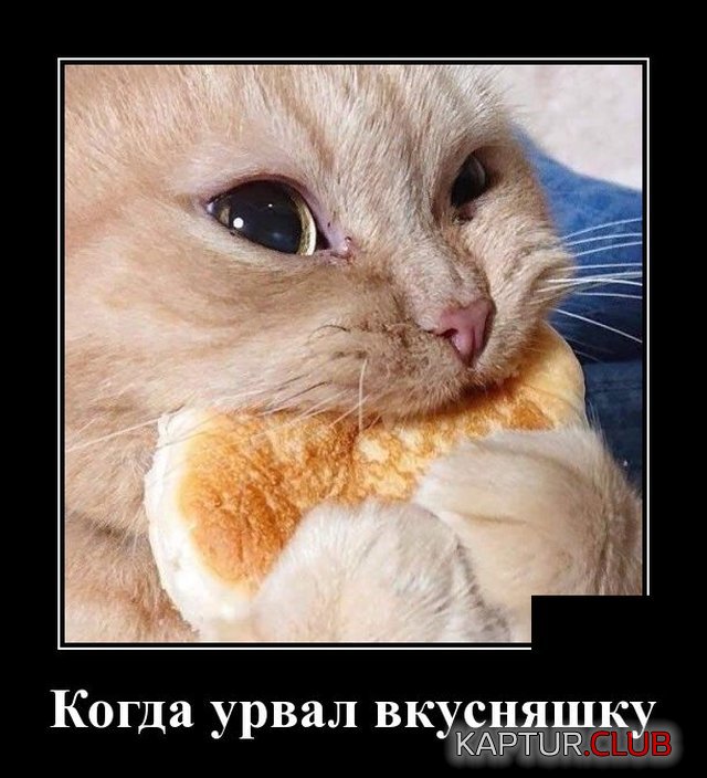1591620303_demotivatory_17.jpg | Рено Каптур Клуб Россия | Форум KAPTUR.SU