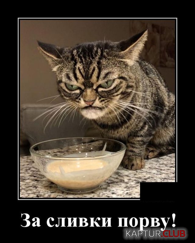 1591620338_demotivatory_16.jpg | Рено Каптур Клуб Россия | Форум KAPTUR.SU