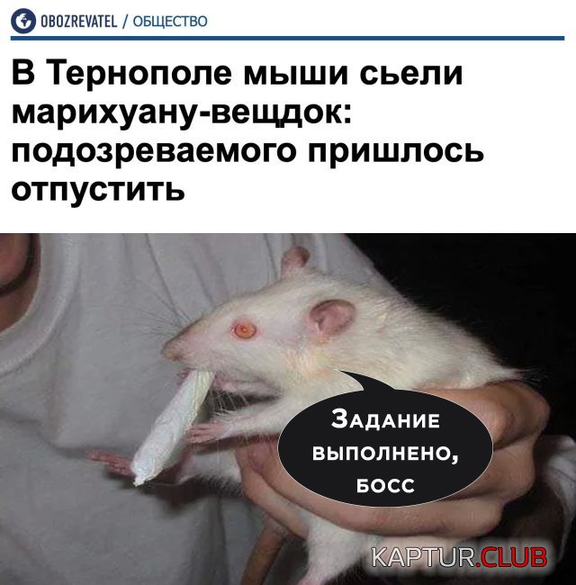 1591696386_podb_32.jpg | Рено Каптур Клуб Россия | Форум KAPTUR.SU